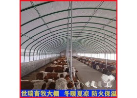 智能养牛大棚搭建 养牛场大棚建设 肉牛养殖大棚安装