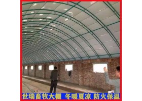 现代化养牛棚施工 肉牛养殖大棚建设 牛舍大棚安装厂家