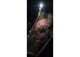 红色福寿鱼草鱼鲫 红罗非 草鱼苗活体 三两 半斤 一斤