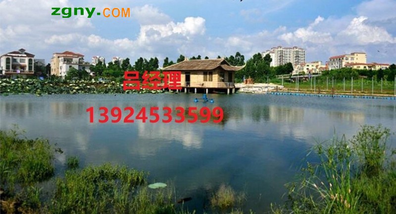 O1CN01k2Uv5e1kfgcfsk92b_!!2213210844711-0-cib (3)